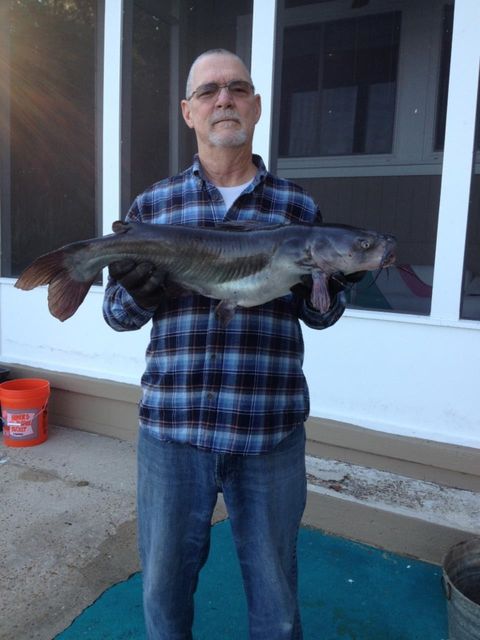 Tiny photo for 24272 Lanier Street, Tallahassee, FL 32310 (MLS # 393336)