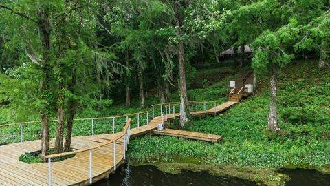 Tiny photo for 1136 Coe Landing Road, Tallahassee, FL 32310 (MLS # 399988)