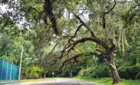 Tiny photo for 1142 Old Fort Drive, Tallahassee, FL 32301 (MLS # 400640)
