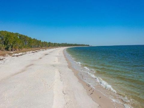 Tiny photo for 2528 Oleander Terrace, Carrabelle, FL 32322 (MLS # 400450)