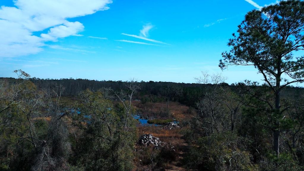 Photo of xxx Big Joe Road, Monticello, FL 32344 (MLS # 381650)