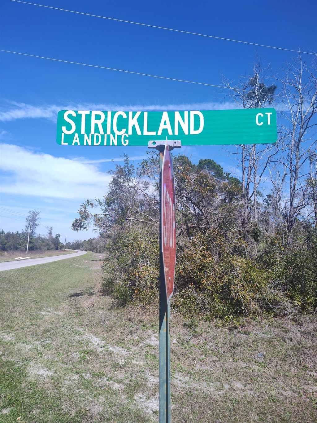 Photo of 000 Strickland Landing Ct, Perry, FL 32348 (MLS # 370154)