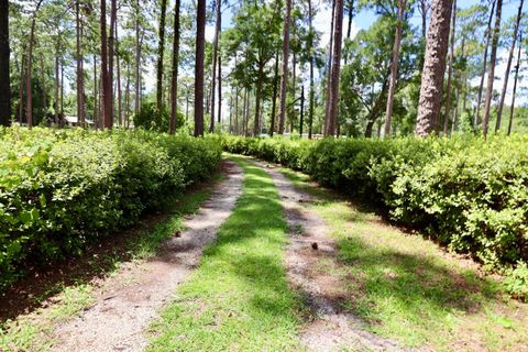 Tiny photo for 11350 Granny Lane, Tallahassee, FL 32305 (MLS # 398790)
