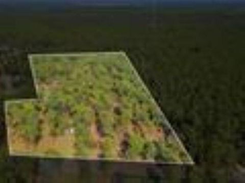 Tiny photo for 11350 Granny Lane, Tallahassee, FL 32305 (MLS # 398790)