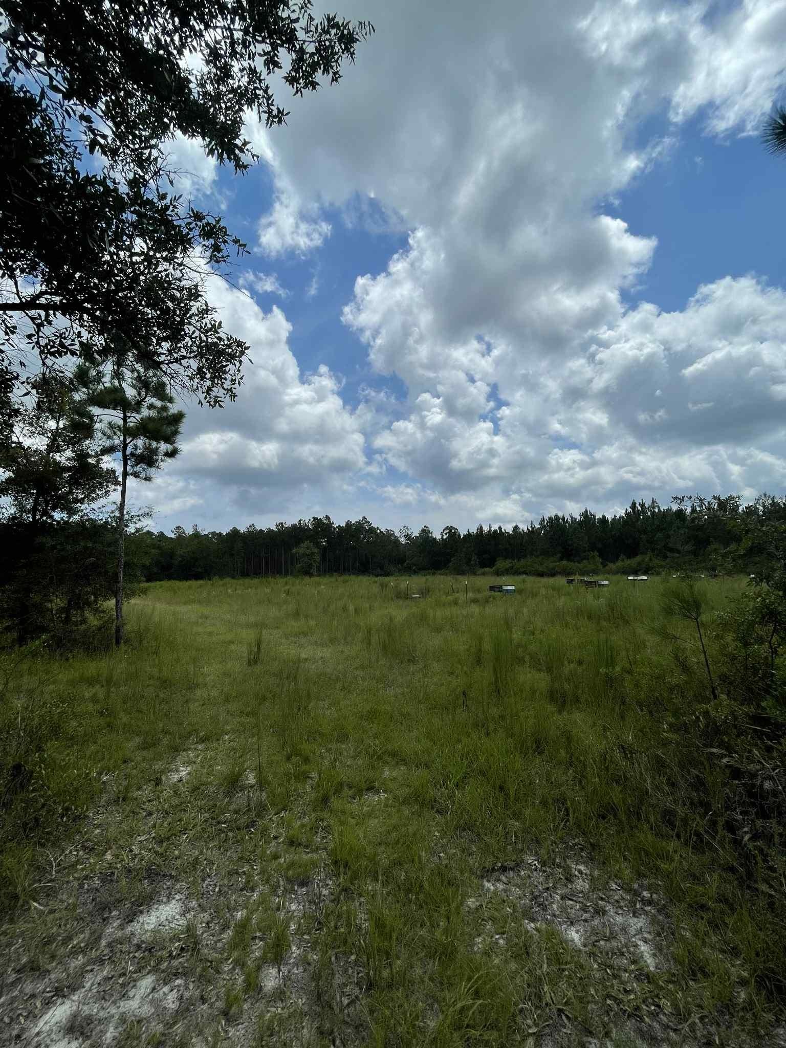XX Otter Creek Road