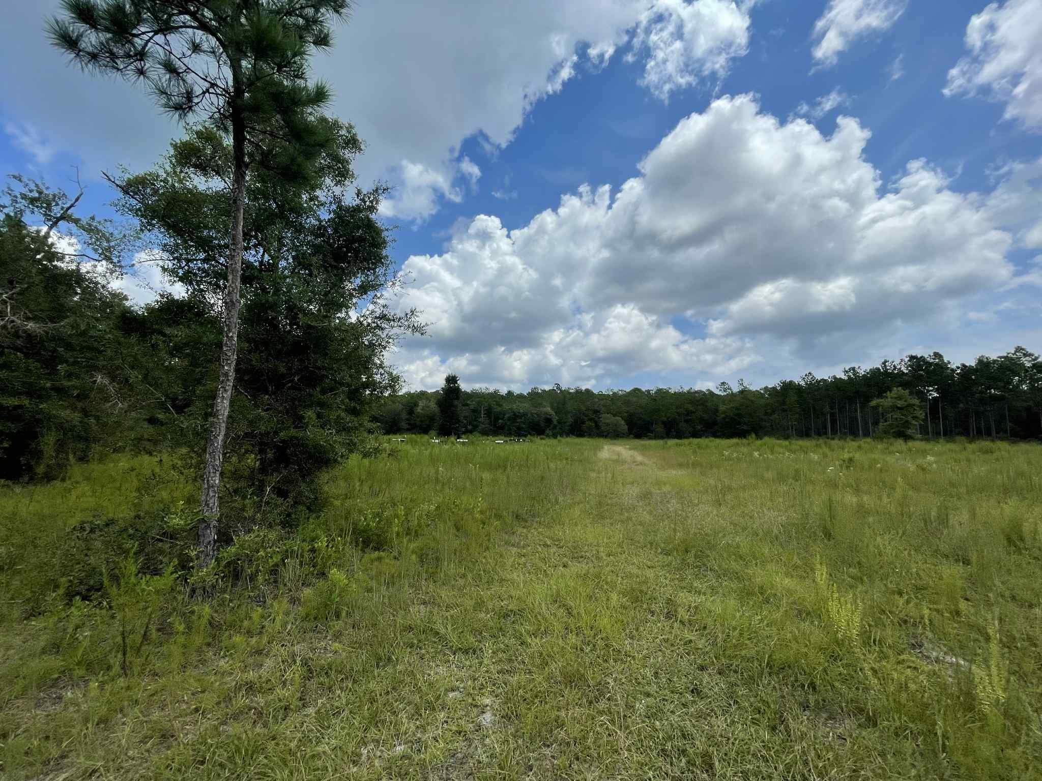 XX Otter Creek Road