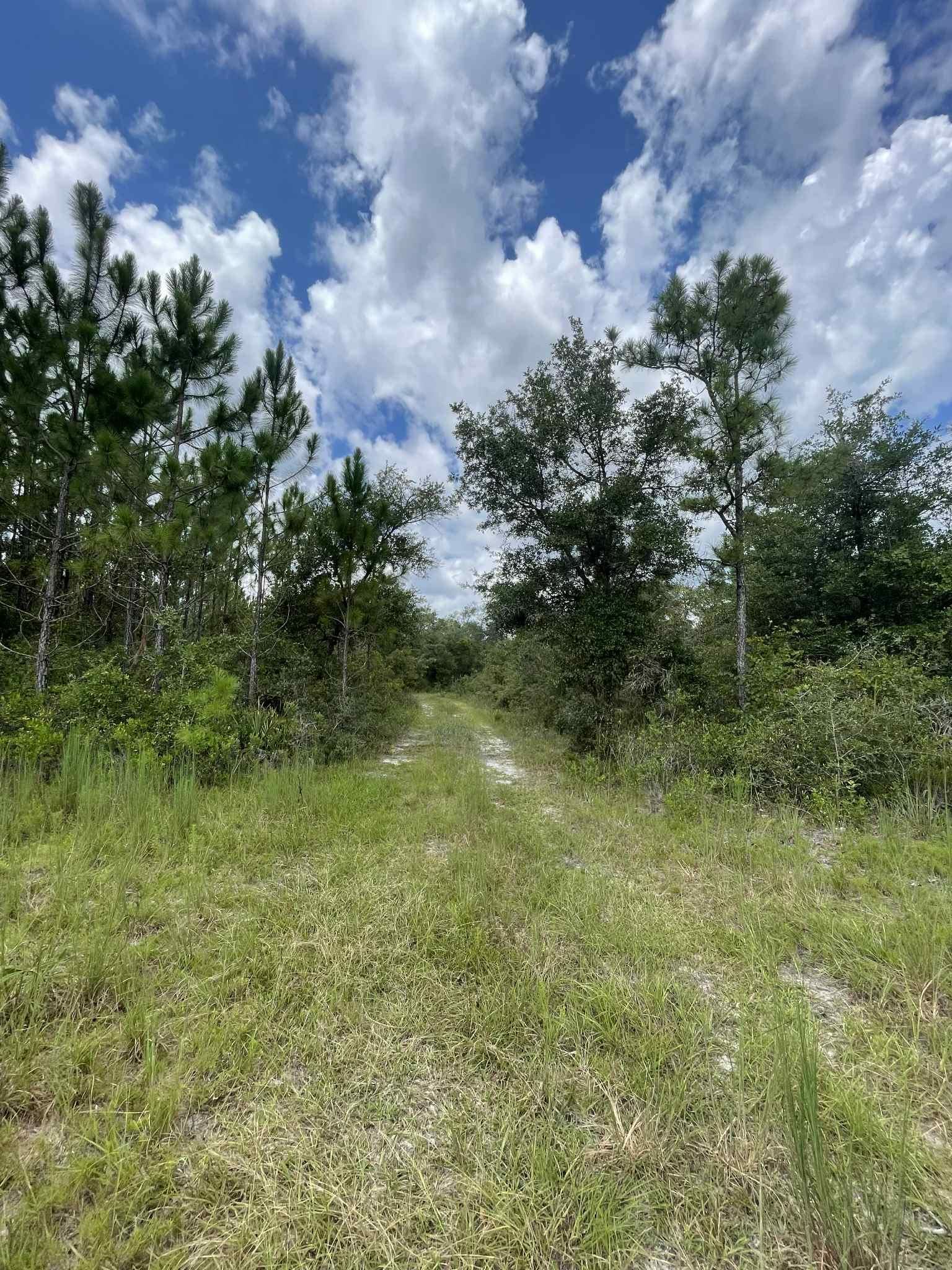 XX Otter Creek Road