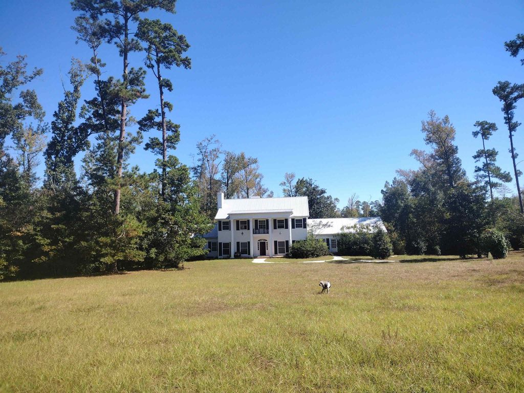 Photo of 615 Morgan Avenue, Chattahoochee, FL 32324 (MLS # 392469)