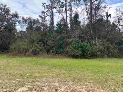 Tiny photo for XXX WAHNISH Way, Tallahassee, FL 32305 (MLS # 396851)