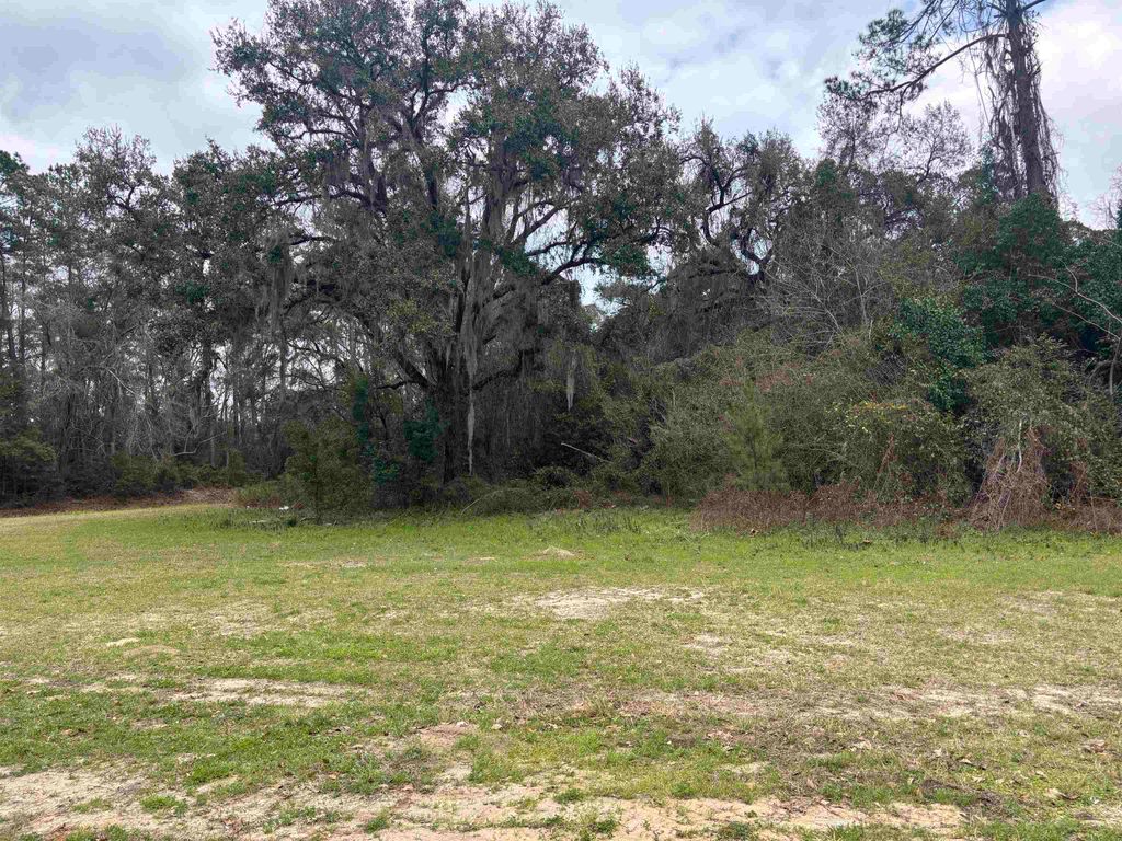 Photo of XXX WAHNISH Way, Tallahassee, FL 32305 (MLS # 396851)