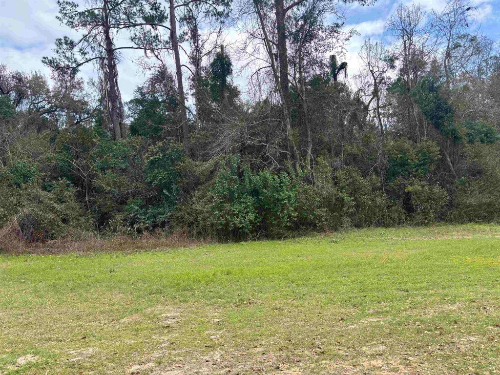 Photo of XXX WAHNISH Way, Tallahassee, FL 32305 (MLS # 396851)