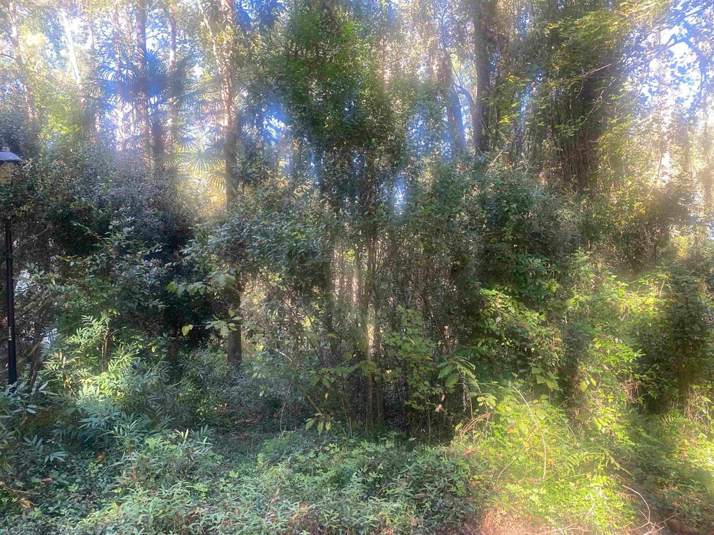 Photo of 2712 Brenner Pass, Tallahassee, FL 32303 (MLS # 392574)