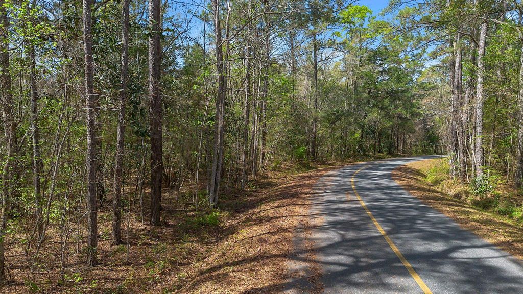 Photo of BEAVER CREEK Drive, Havana, FL 32333 (MLS # 397859)