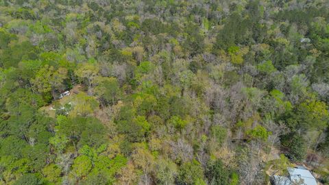 Tiny photo for BEAVER CREEK Drive, Havana, FL 32333 (MLS # 397859)