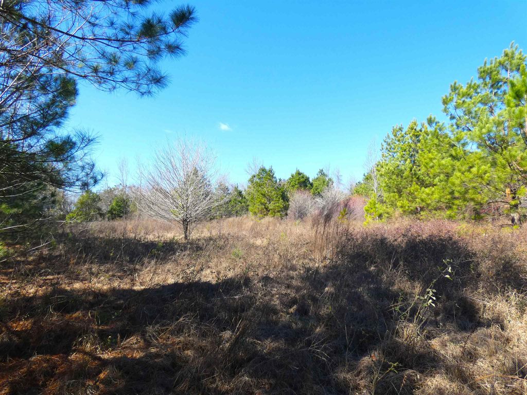 Photo of TBD Orchard Lane, Monticello, FL 32344 (MLS # 395381)