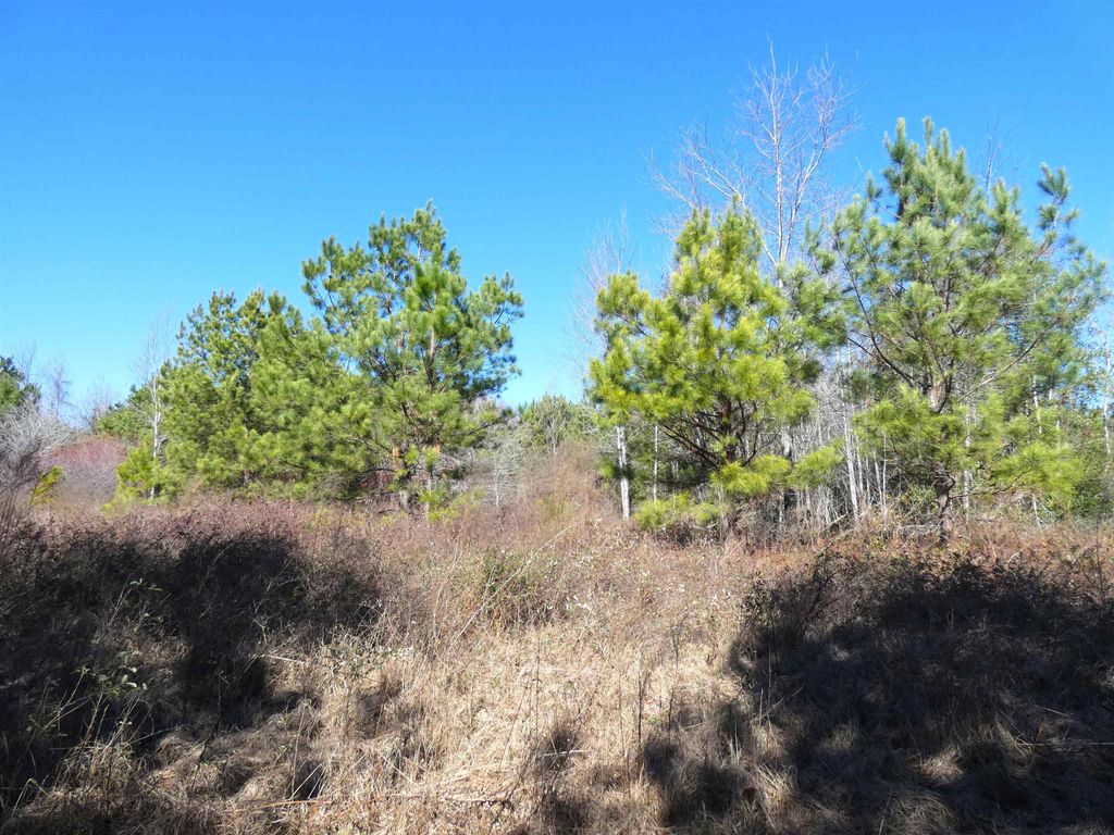 Photo of TBD Orchard Lane, Monticello, FL 32344 (MLS # 395381)