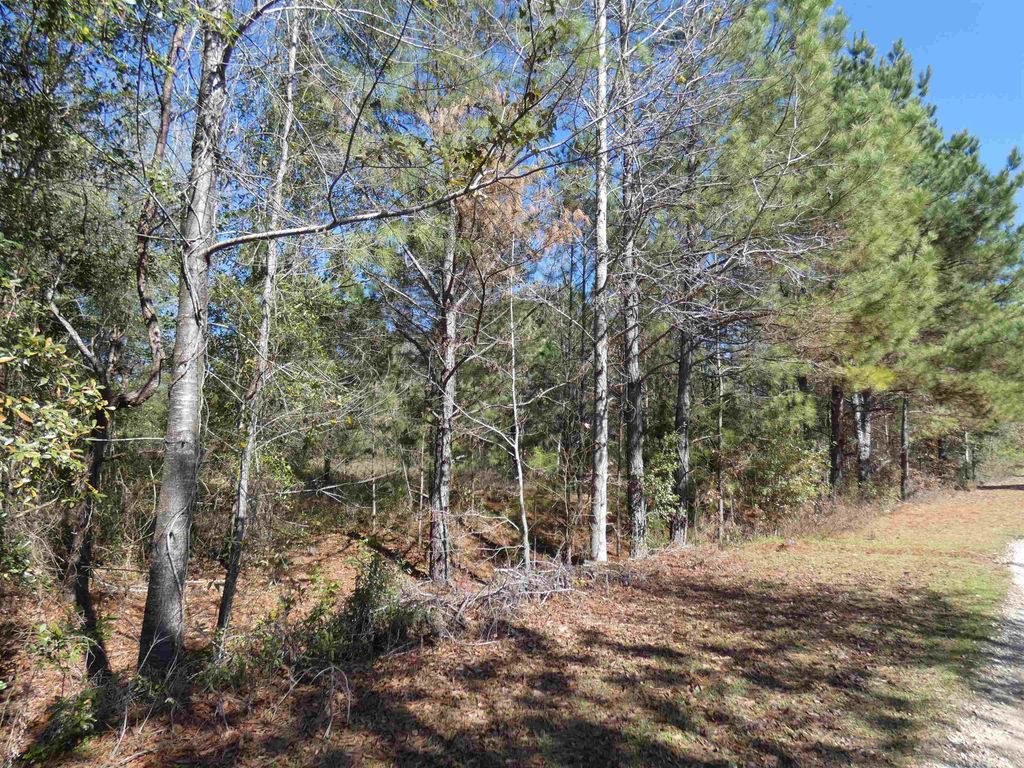 Photo of TBD Orchard Lane, Monticello, FL 32344 (MLS # 395381)