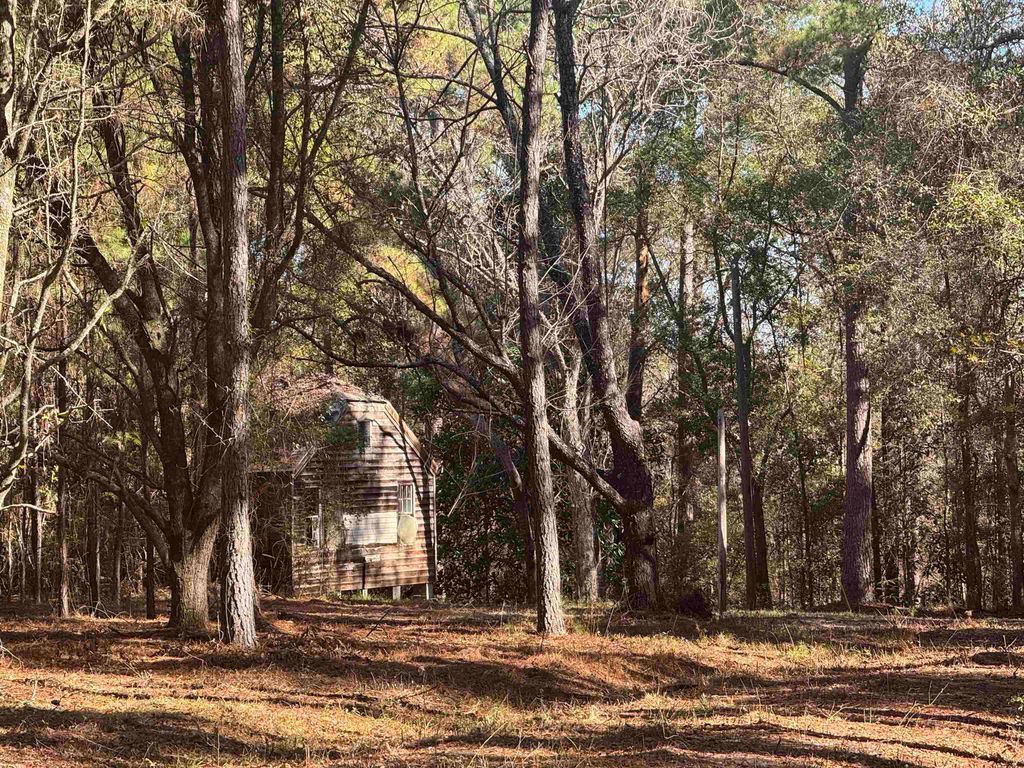 Photo of 740 Langston Lane, Havana, FL 32333 (MLS # 394091)