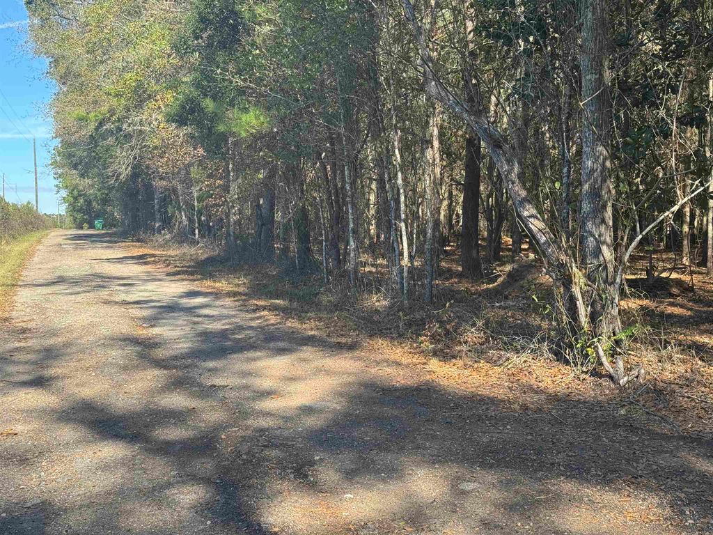 Photo of 740 Langston Lane, Havana, FL 32333 (MLS # 394091)