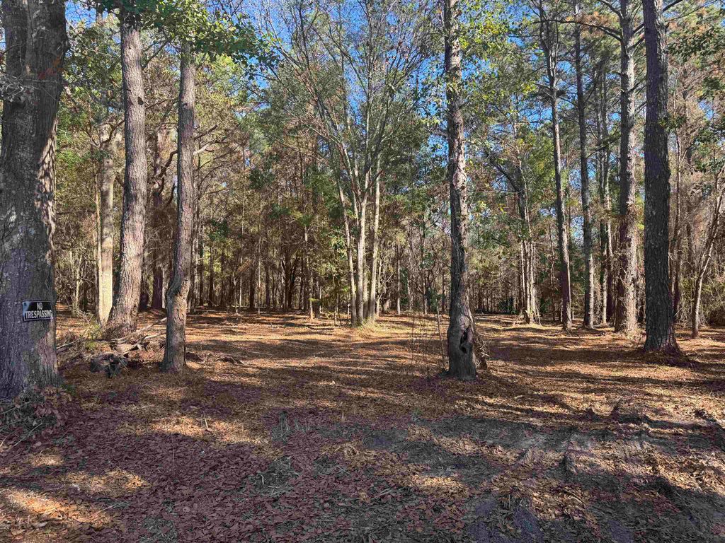 Photo of 740 Langston Lane, Havana, FL 32333 (MLS # 394091)