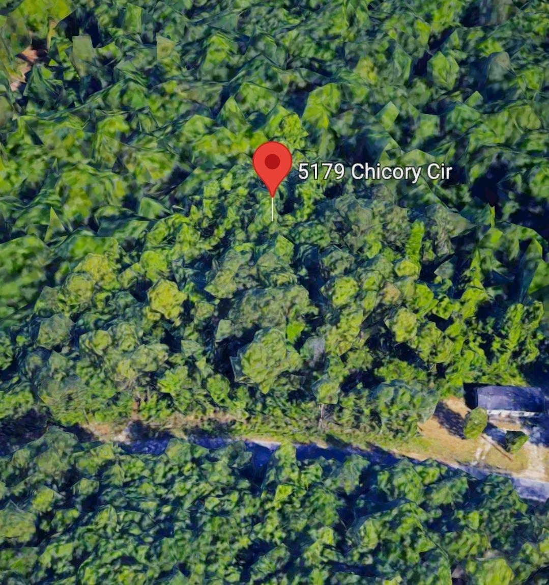 Photo 1 of 3 — 5179 Chicory Circle, Other Florida, FL 32068