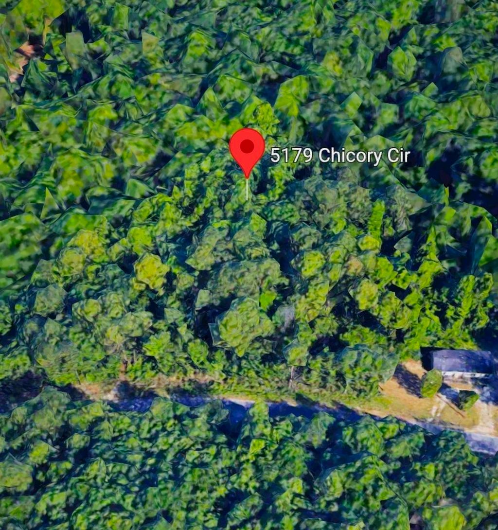 Photo of 5179 Chicory Circle, Other Florida, FL 32068 (MLS # 398290)