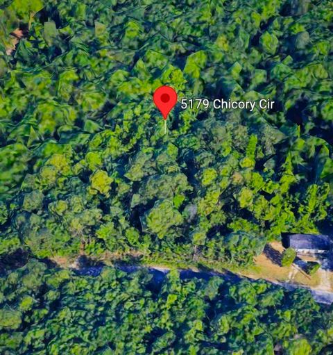 Photo of 5179 Chicory Circle, Other Florida, FL 32068 (MLS # 398290)