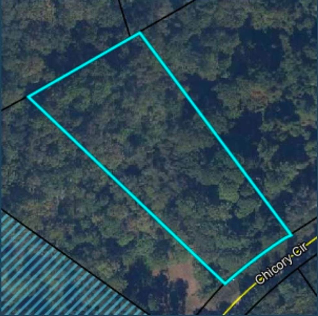 Photo of 5179 Chicory Circle, Other Florida, FL 32068 (MLS # 398290)