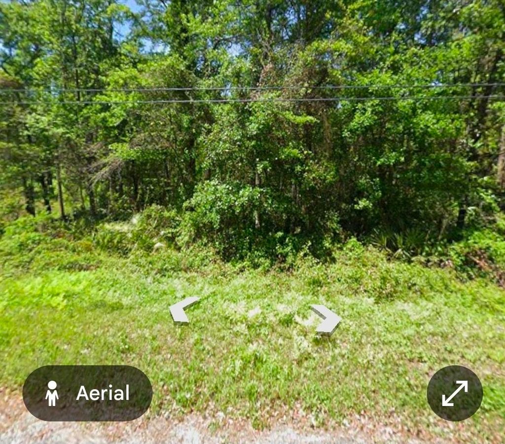 Photo of 5179 Chicory Circle, Other Florida, FL 32068 (MLS # 398290)