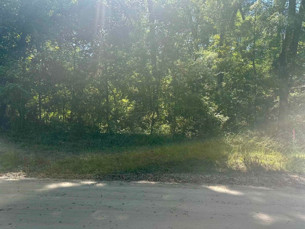 Photo of Chicopee Road, Crawfordville, FL 32327 (MLS # 398658)
