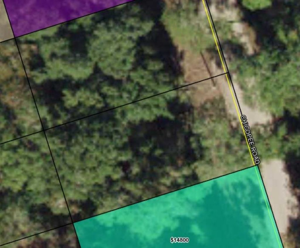 Photo of Chicopee Road, Crawfordville, FL 32327 (MLS # 398658)