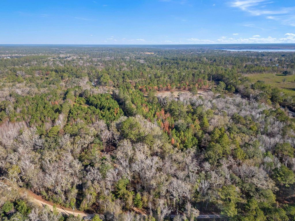 Photo of 15196 Casland Drive, Tallahassee, FL 32309 (MLS # 395753)