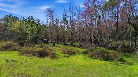 Tiny photo for 000 Old Dixie Hwy, Perry, FL 32347 (MLS # 396986)