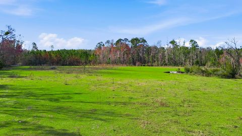 Tiny photo for 000 Old Dixie Hwy, Perry, FL 32347 (MLS # 396986)