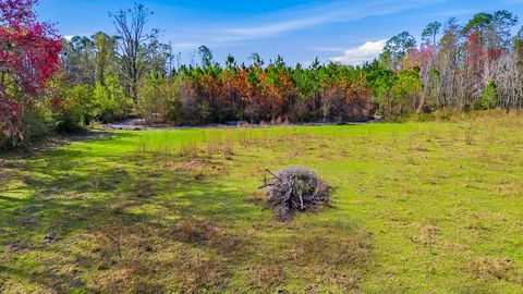 Tiny photo for 000 Old Dixie Hwy, Perry, FL 32347 (MLS # 396986)