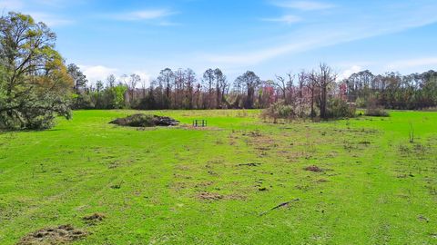 Tiny photo for 000 Old Dixie Hwy, Perry, FL 32347 (MLS # 396986)