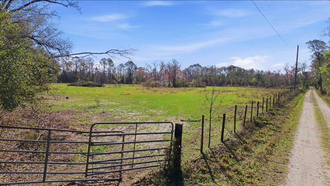 Tiny photo for 000 Old Dixie Hwy, Perry, FL 32347 (MLS # 396986)
