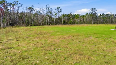 Tiny photo for 000 Old Dixie Hwy, Perry, FL 32347 (MLS # 396986)