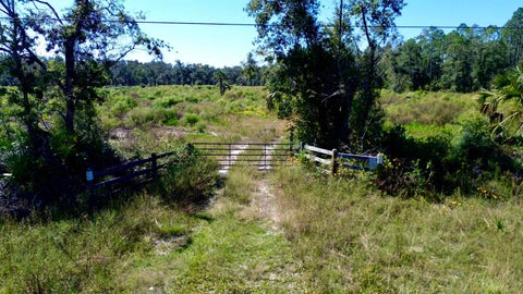 21809 W US 98 Lamont FL 32336