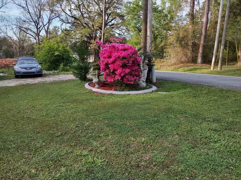 Tiny photo for 97 Neals Temple Road, Havana, FL 32333 (MLS # 394515)