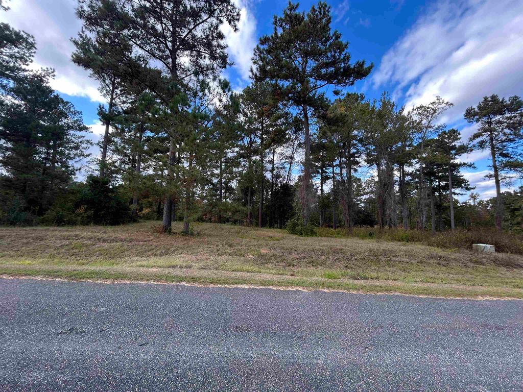 Photo of 165 STILLWATER Lane, Havana, FL 32333 (MLS # 393547)