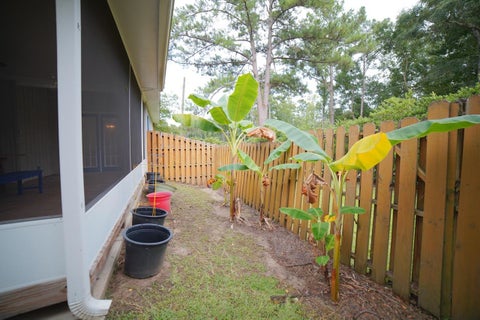Tiny photo for 2400 Tippecanoe Ridge, Tallahassee, FL 32303 (MLS # 402413)