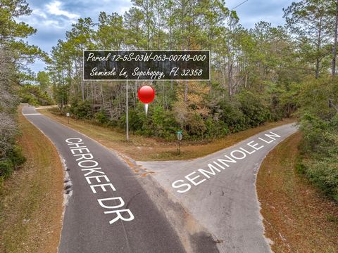 81 Cherokee Drive Sopchoppy FL 32358
