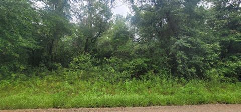 Tiny photo for 0 Parramore Shores Road, Tallahassee, FL 32310 (MLS # 389057)