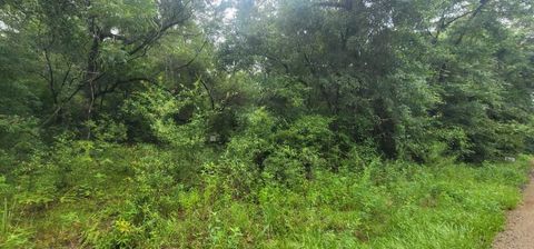 Tiny photo for 0 Parramore Shores Road, Tallahassee, FL 32310 (MLS # 389057)
