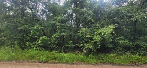 Tiny photo for 0 Parramore Shores Road, Tallahassee, FL 32310 (MLS # 389057)