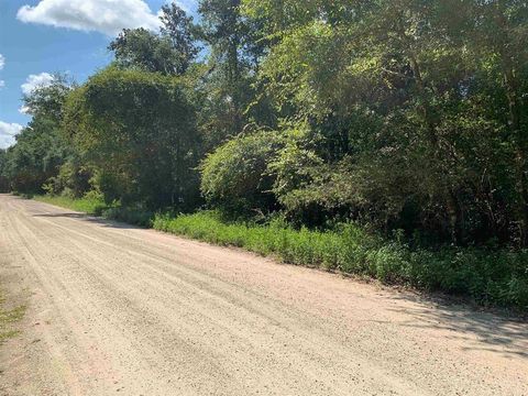 Tiny photo for 0 Parramore Shores Road, Tallahassee, FL 32310 (MLS # 389057)