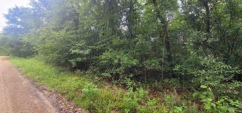 Tiny photo for 0 Parramore Shores Road, Tallahassee, FL 32310 (MLS # 389057)