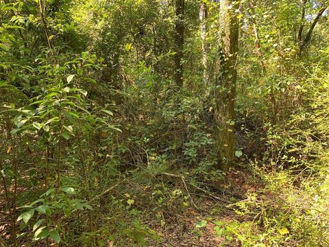Tiny photo for 0 Parramore Shores Road, Tallahassee, FL 32310 (MLS # 389057)