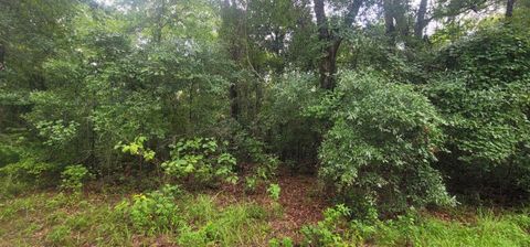 Tiny photo for 0 Parramore Shores Road, Tallahassee, FL 32310 (MLS # 389057)